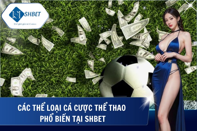 Cá Cược Bóng Đá SHBet - Điểm Đến Hàng Đầu Cá Cược Môn Thể Thao Vua Cá cược phổ biến tại SHBet