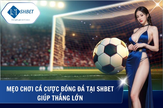 Cá Cược Bóng Đá SHBet - Điểm Đến Hàng Đầu Cá Cược Môn Thể Thao Vua Chia sẻ kinh nghiệm cá cược tại SHBet