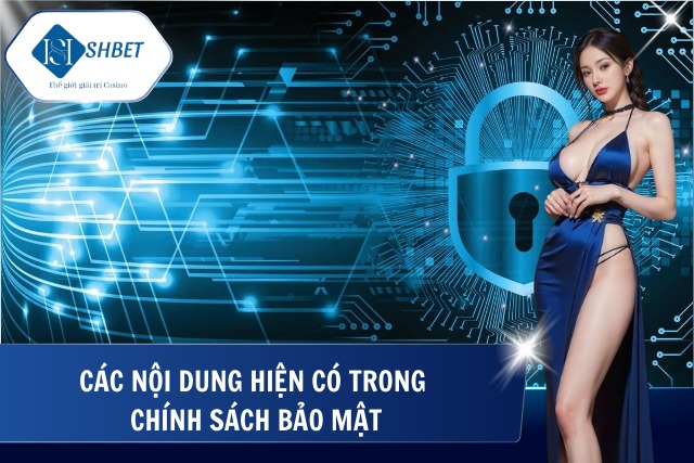 Chính Sách Bảo Mật - An Toàn Tuyệt Đối Thông Tin Tất Cả Hội Viên Tổng hợp các quy định hiện hành tại chính sách bảo mật