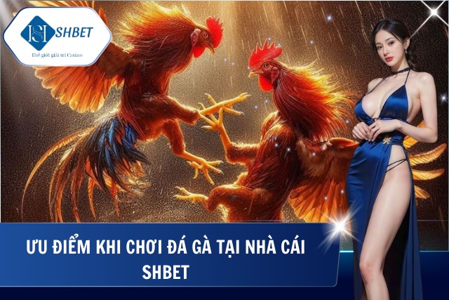 Loạt ưu điểm không thể bỏ qua